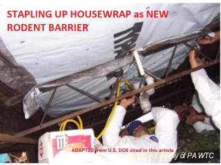Rodent barrier replaced with housewrap - adapted from U.S. DOE presentation cited in detail in this article at InspectApedia.com